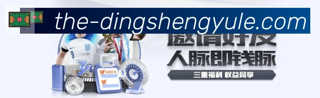 未来规划